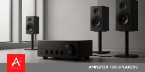amplifier for speakers setup in home and office environment